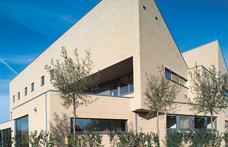 Объект из Клинкерная плитка Vandersanden ECO 008 Lindebloem