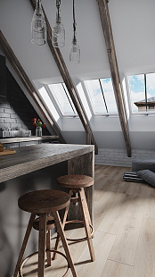 Объект из Мансардные окна Dakea CONSERVATION