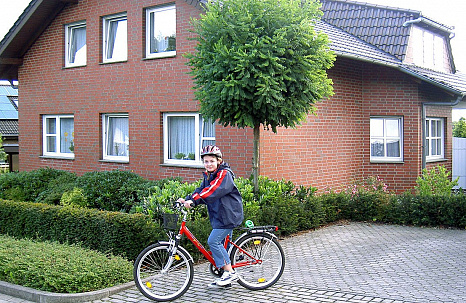 Объект из Клинкерная плитка Roben WESTERWALD пестрый, гладкий