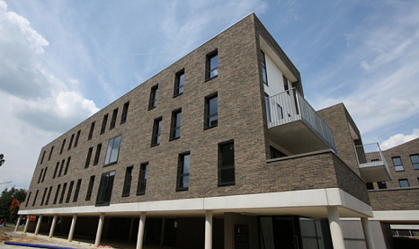 Объект из Клинкерная плитка Vandersanden 122. Brama