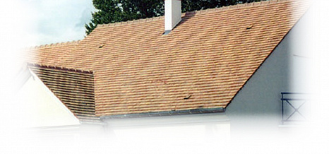 Объект из Керамическая черепица Edilians Plate Pressee 17x27 Ste Foy Terre de Beauce