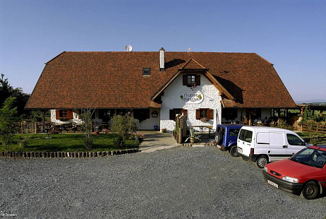 Объект из Керамическая черепица Tondach ВЕНСКАЯ ГРАНЕНАЯ ангобированный антик