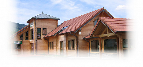 Объект из Керамическая черепица Edilians HP 10 Huguenot Flammé Rustique