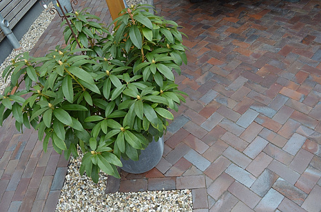 Объект из Брусчатка CRH Мощение CRH Patoka Antika